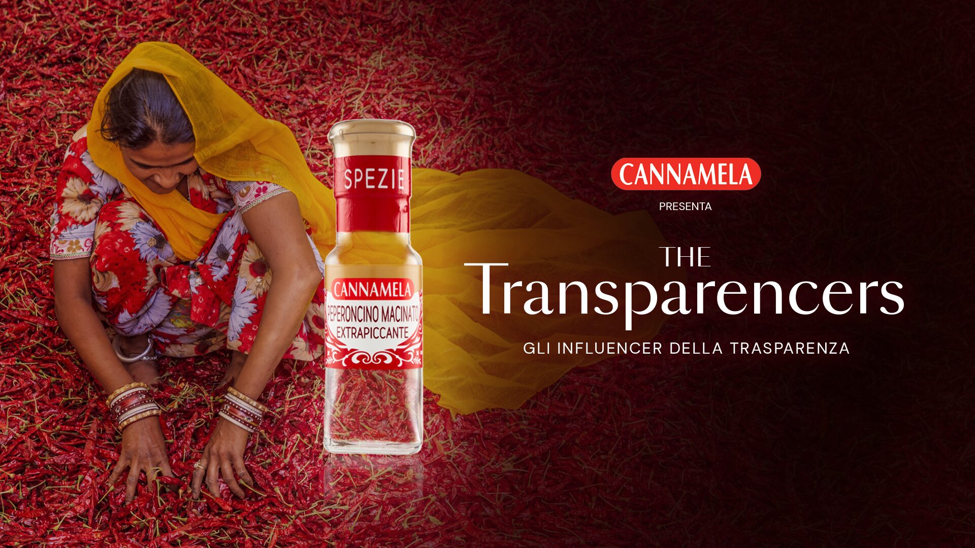 The Transparencers